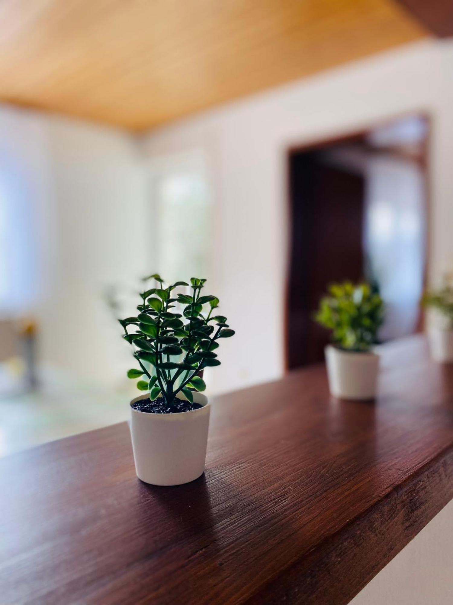 Ferienwohnung Antonia Rattelsdorf Luaran gambar